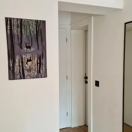 Pine Nest * Siroki Brijeg